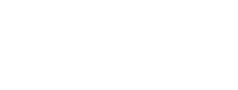 logo at footer